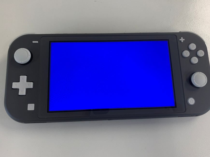 ブルースクリーンになったNintendo Switch Lite