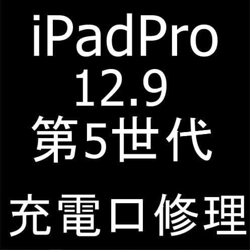 iPad Pro 12.9 第5世代の充電口交換修理