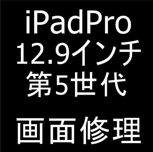 iPad Pro 12.9(第5世代)の画面交換修理